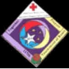RED CROSS 2006 ROSE PARADE PIN  DX